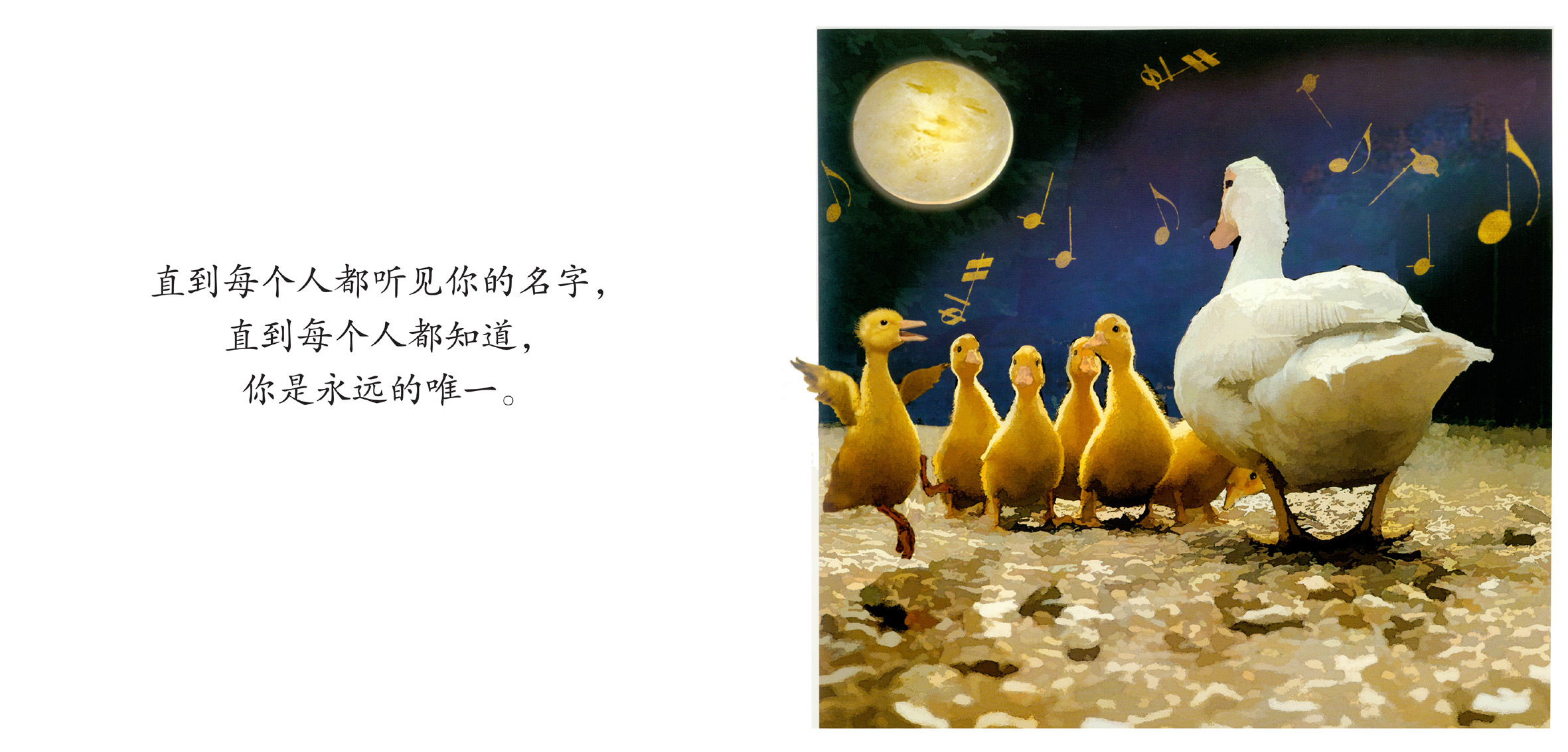 你出生的那个晚上 (08),绘本,绘本故事,绘本阅读,故事书,童书,图画书,课外阅读